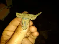 bull.webp