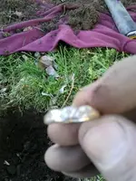 ring at site.webp