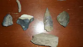 SAM_0401.webp