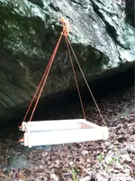 image-2565821126.webp