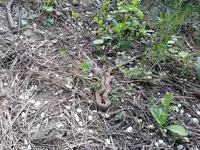 20130425_131416.webp