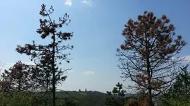 20130425_144416.webp