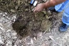 20130425_163616.webp