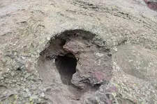 bear drill hole resized.webp