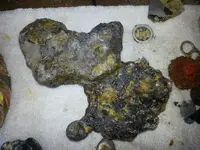 20130505_144940.webp