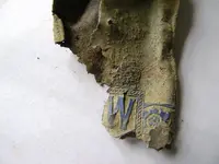 P4020261.webp