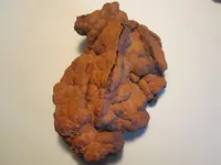 IMG_3272[1].webp