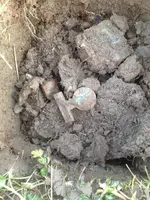 image-2879040494.webp