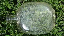 DSC00971.webp