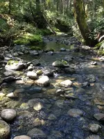 image-23569159.webp