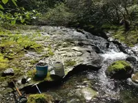image-4057011422.webp