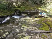 image-2604010066.webp