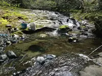image-10563252.webp