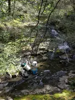 image-2212777531.webp