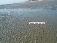 DSCF2183.webp