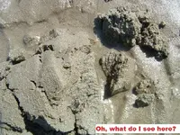 DSCF2181.webp