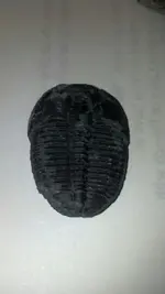 181438_4030566942769_1144891265_n.webp