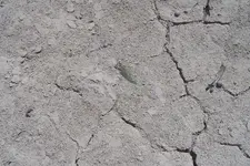 greeninsitu.webp