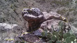 IMAG0227 (5).webp