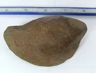 Hammer Stone Smooth Side.webp
