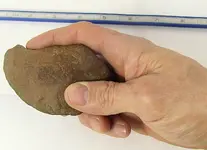 Hammer Stone with Hand.webp