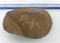 Hammer Stone Back End.webp