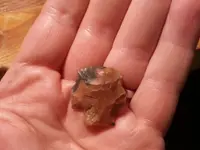 20130409_213325.webp