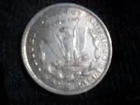 silver dollar back.webp