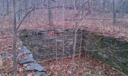 image-2275859817.webp