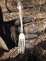 image-777869883.webp