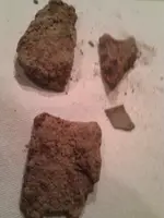 IMG_20130330_201507.webp
