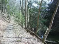 100_2490.webp