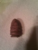 IMG_20130330_201830.webp
