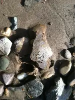 image-3970028576.webp