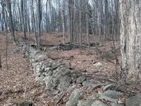 image-3606112074.webp