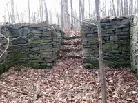 image-2575589510.webp
