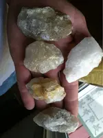 image-1778273229.webp