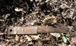 20130420_114800.webp