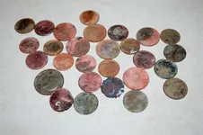 DSC_1259.webp