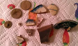 IMAG0355.webp IMAG0355.webp
