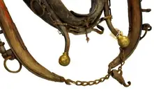 image.webp
