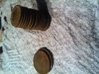 IMG_1879.webp