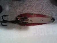 Metal detecting 003.webp