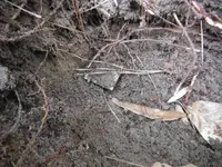 DSCF0060.webp