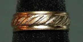 Ring 11 (2).webp