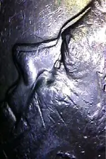 image-3324337045.webp