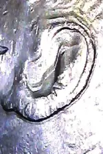 image-698650279.webp