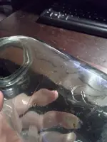 1896 ball jar 3.webp