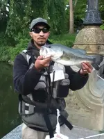 181269_439602906069183_448416969_n.webp