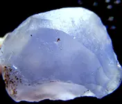 DSCF0145.webp